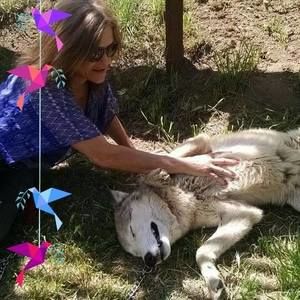 Meet your Posher, Diana